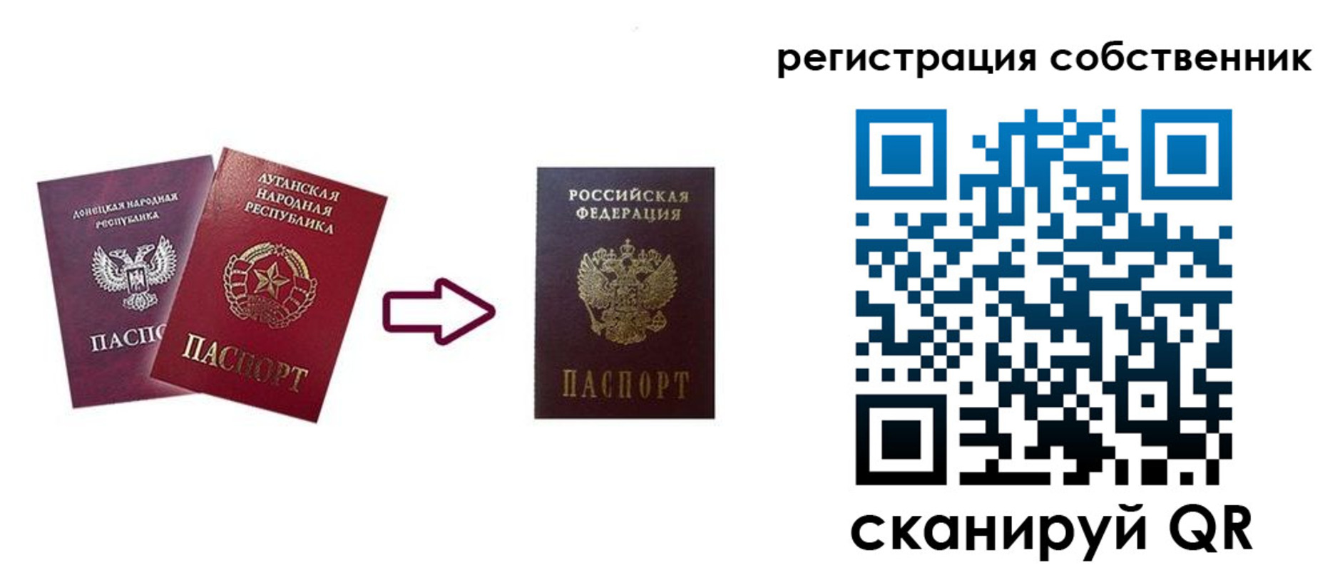 прописка для школы в Свободном